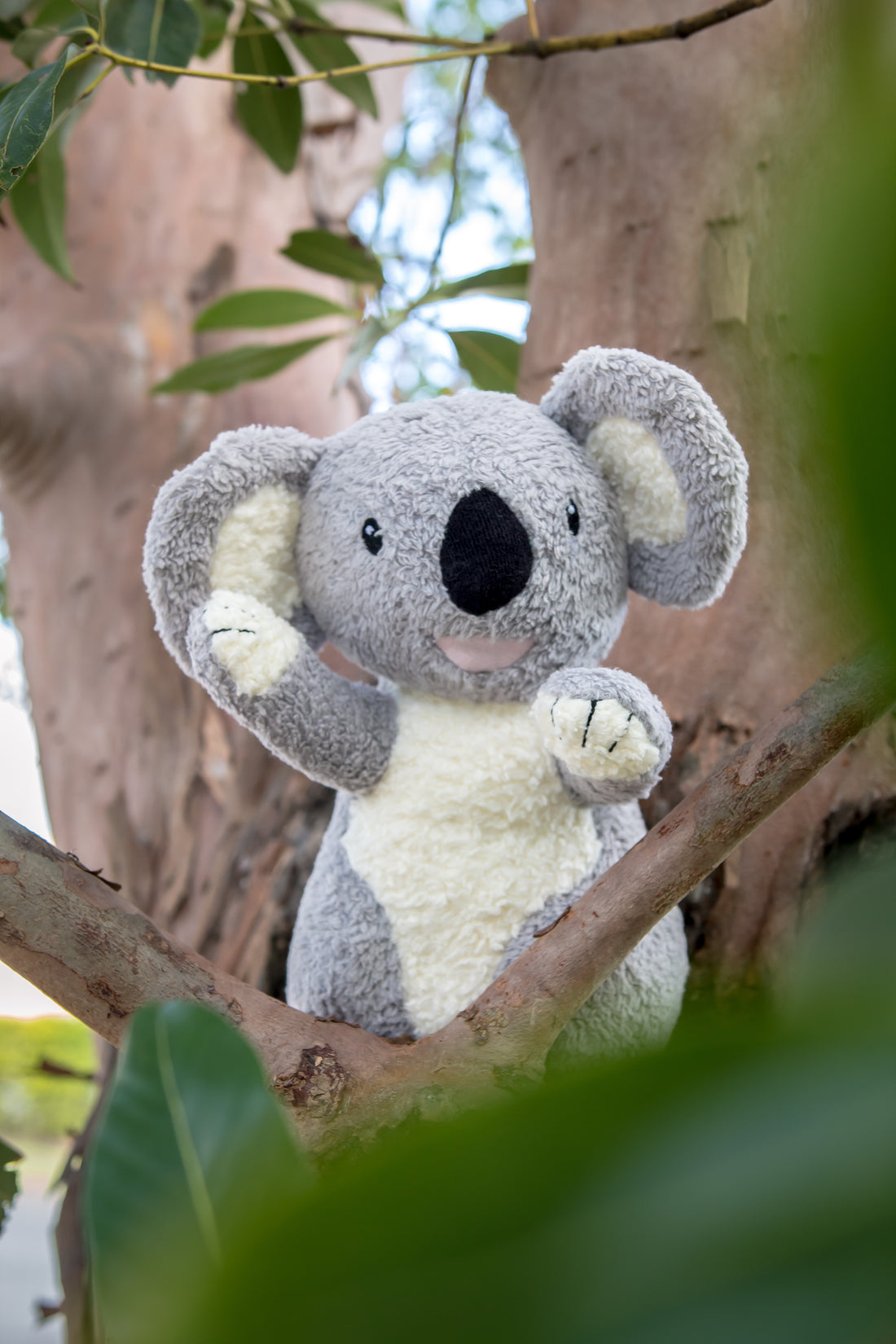 Plush Koala